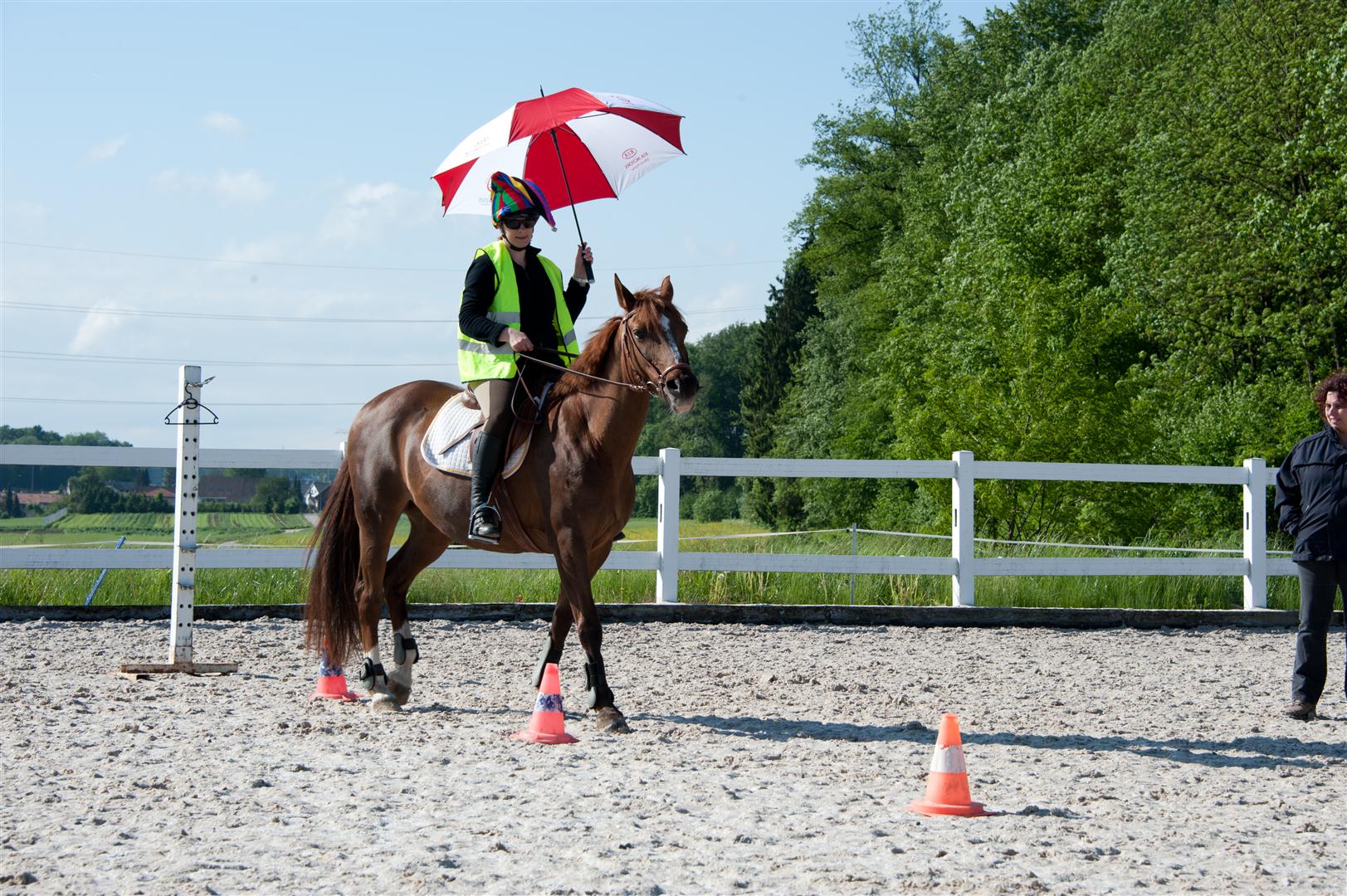 DSC_8482 (Large).jpg